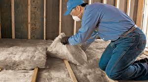 Best Basement Insulation  in Ridgefield, NJ