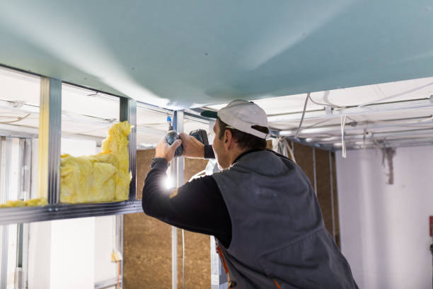 Best Insulation for New Construction  in Ridgefield, NJ